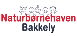 Bakkely Logo